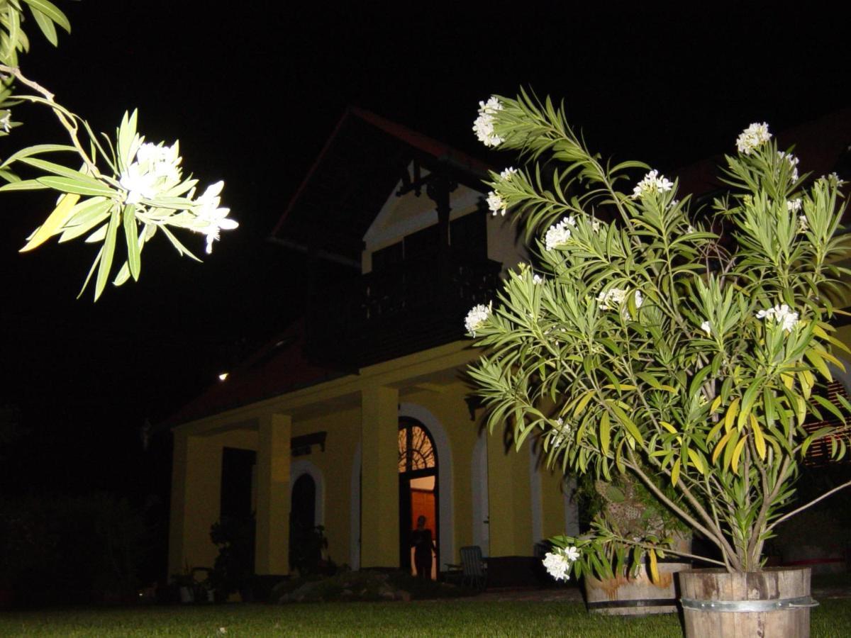 Nitt Pince Es Panzio Bed & Breakfast Kisharsany Exterior photo